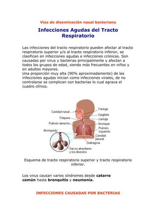 Vías de diseminación nasal bacteriana
Infecciones Agudas del Tracto
Respiratorio
Las infecciones del tracto respiratorio pueden afectar al tracto
respiratorio superior y/o al tracto respiratorio inferior, se
clasifican en infecciones agudas e infecciones crónicas. Son
causadas por virus y bacterias principalmente y afectan a
todos los grupos de edad, siendo más frecuentes en niños y
en adultos mayores.
Una proporción muy alta (90% aproximadamente) de las
infecciones agudas inician como infecciones virales, de no
controlarse se complican con bacterias lo cual agrava el
cuadro clínico.
Esquema de tracto respiratorio superior y tracto respiratorio
inferior.
Los virus causan varios síndromes desde catarro
común hasta bronquitis y neumonía.
INFECCIONES CAUSADAS POR BACTERIAS
 