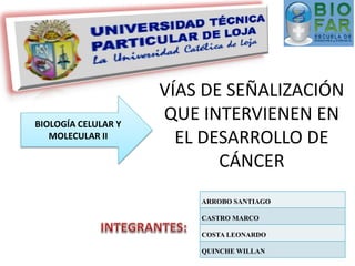 VÍAS DE SEÑALIZACIÓN
QUE INTERVIENEN EN
EL DESARROLLO DE
CÁNCER
BIOLOGÍA CELULAR Y
MOLECULAR II
ARROBO SANTIAGO
CASTRO MARCO
COSTA LEONARDO
QUINCHE WILLAN
 