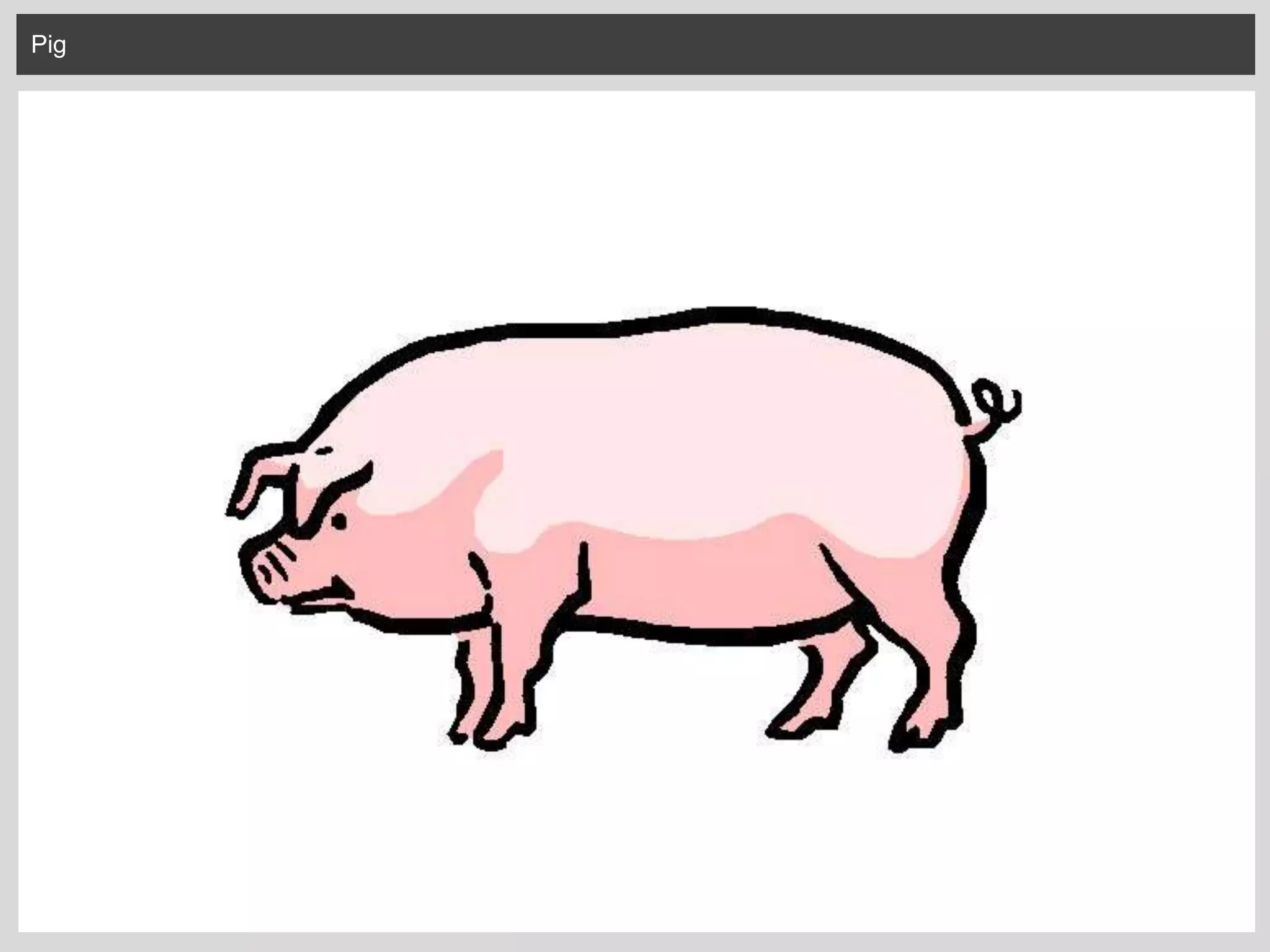 Pig
 