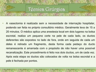 • A vasectomia é realizada sem a necessidade de internação hospitalar,
podendo ser feita no próprio consultório médico. Geralmente leva de 15 a
20 minutos. O médico aplica uma anestesia local em dois lugares na bolsa
escrotal, realiza um pequeno corte na pele de cada lado, os ductos
deferentes são expostos no lado de fora, onde em seguida de cada um
deles é retirado um fragmento, desta forma cada pedaço do ducto
remanescente é amarrada com o propósito de não haver uma possível
recanalização. Este procedimento é feito nos dois ductos, um de cada vez.
Após esta etapa os ductos são colocados de volta na bolsa escrotal e a
pele é fechada por pontos.
 