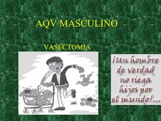 AQV MASCULINO VASECTOMIA 