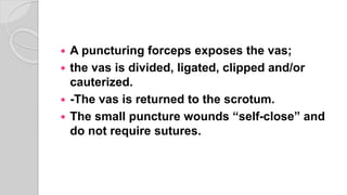  A puncturing forceps exposes the vas;
 the vas is divided, ligated, clipped and/or
cauterized.
 -The vas is returned to the scrotum.
 The small puncture wounds “self-close” and
do not require sutures.
 