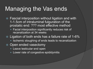 Managing the Vas ends
 Fascial interposition without ligation and with
1-1.5cm of intraluminal fulguration of the
prostatic end: ??? most effective method
 Facial interposition significantly reduces risk of
recanalization at 34 weeks
 Ligation of both ends has a failure rate of 1-6%
 Ischemic sloughing of ends leads to recanalization
 Open ended vasectomy
 Leave testicular end open
 Lower rate of congestive epididymitis
 
