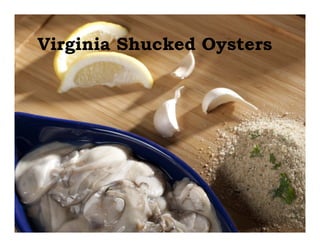 Virginia Shucked Oysters
 