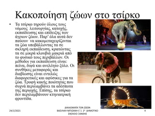 Κακοποίηση ζώων στο τσίρκο
• Τα τσίρκο τηρούν όλους τους
νόμους λειτουργίας, κατοχής,
εκπαίδευσης και επίδειξης των
άγριων ζώων. Παρ’ όλα αυτά δεν
παύουν να κακομεταχειρίζονται
τα ζώα υποβάλλοντας τα σε
σκληρή εκπαίδευση, κρατώντας
τα σε μικρά κλουβιά μακριά από
το φυσικό τους περιβάλλον. Οι
μέθοδοι για εκπαίδευση είναι:
πείνα, διψά και ανελέητο ξύλο. Οι
συνθήκες μεταφοράς και
διαβίωσης είναι εντελώς
διαφορετικές και αφύσικες για τα
ζώα. Τροφή κακής ποιότητας που
συχνά περιλαμβάνει τα αδέσποτα
της περιοχής. Επίσης, τα τσίρκο
δεν περιλαμβάνουν κτηνιατρική
φροντίδα.
24/1/2021
ΔΙΚΑΙΩΜΑΤΑ ΤΩΝ ΖΩΩΝ
ΒΑΣΙΛΙΚΗ ΜΠΙΖΑΝΗ Ε΄1 2ο ΔΗΜΟΤΙΚΟ
ΣΧΟΛΕΙΟ ΞΑΝΘΗΣ
4
 