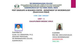 SRI PARAMAKALYANI COLLEGE
( Reaccredited with B Grade with a CGPA of 2.71 in the II Cycle by NAAC
Affiliated to Manonmaniam Sundaranar University, Tirunelveli)
ALWARKURICHI 627 412 TAMIL NADU, INDIA
POST GRADUATE & RESEARCH CENTRE - DEPARTMENT OF MICROBIOLOGY
(Government Aided)
II SEM - CORE –VIROLOGY
UNIT – 1
CAULIFLOWER MOSAIC VIRUS
A.VASIMA
REG NO: 20211232516125
I M.SC.MICROBIOLOGY
ASSIGNED ON:
TAKE ON :
Submitted to,
GUIDE: Dr.C.MARIAPPAN, Ph.D,
ASSISTANT PROFESSOR,
SRI PARAMAKALYANI COLLEGE,
ALWARKURICHI.
 