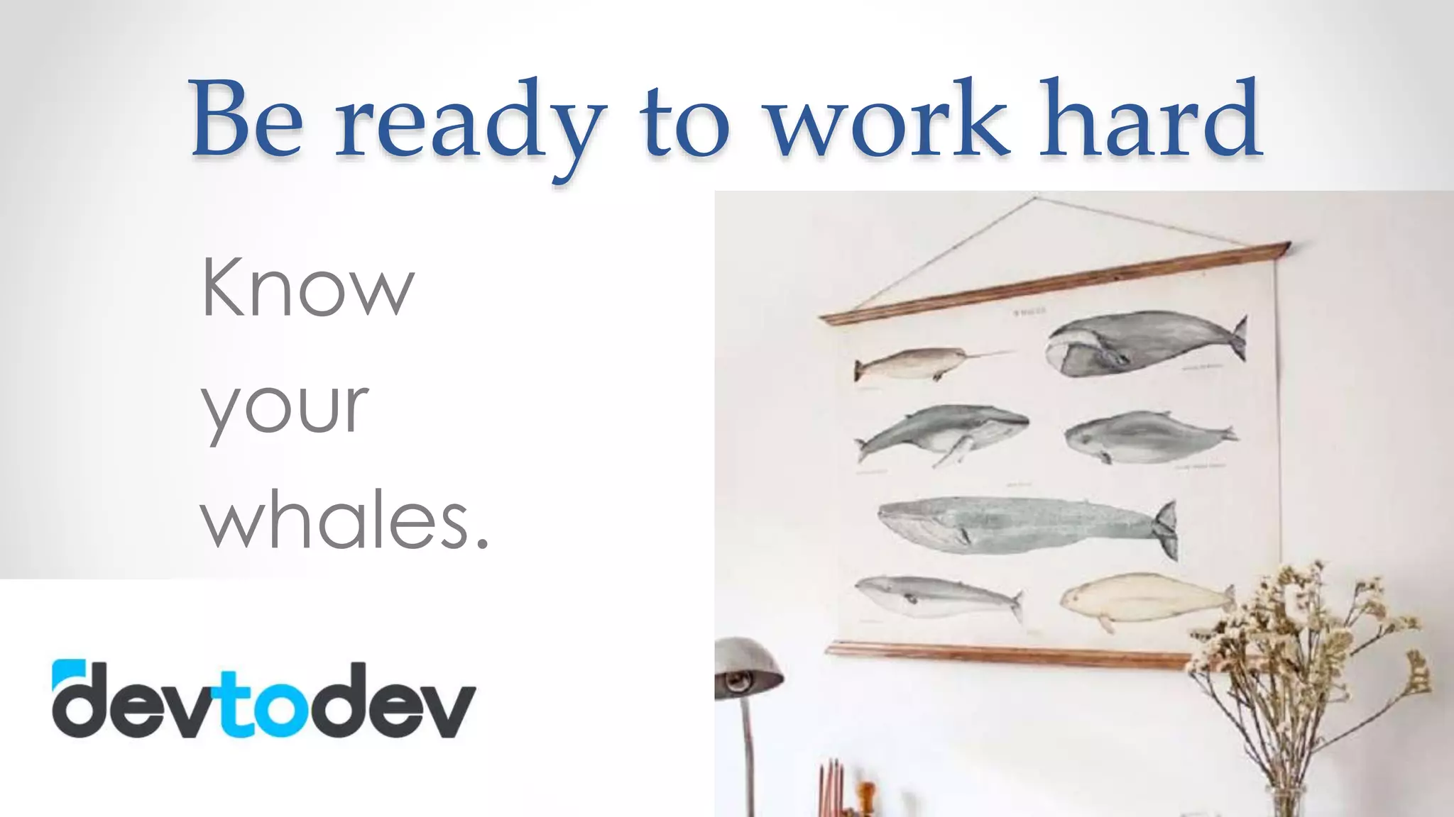 Be ready to work hard
Know
your
whales.
 