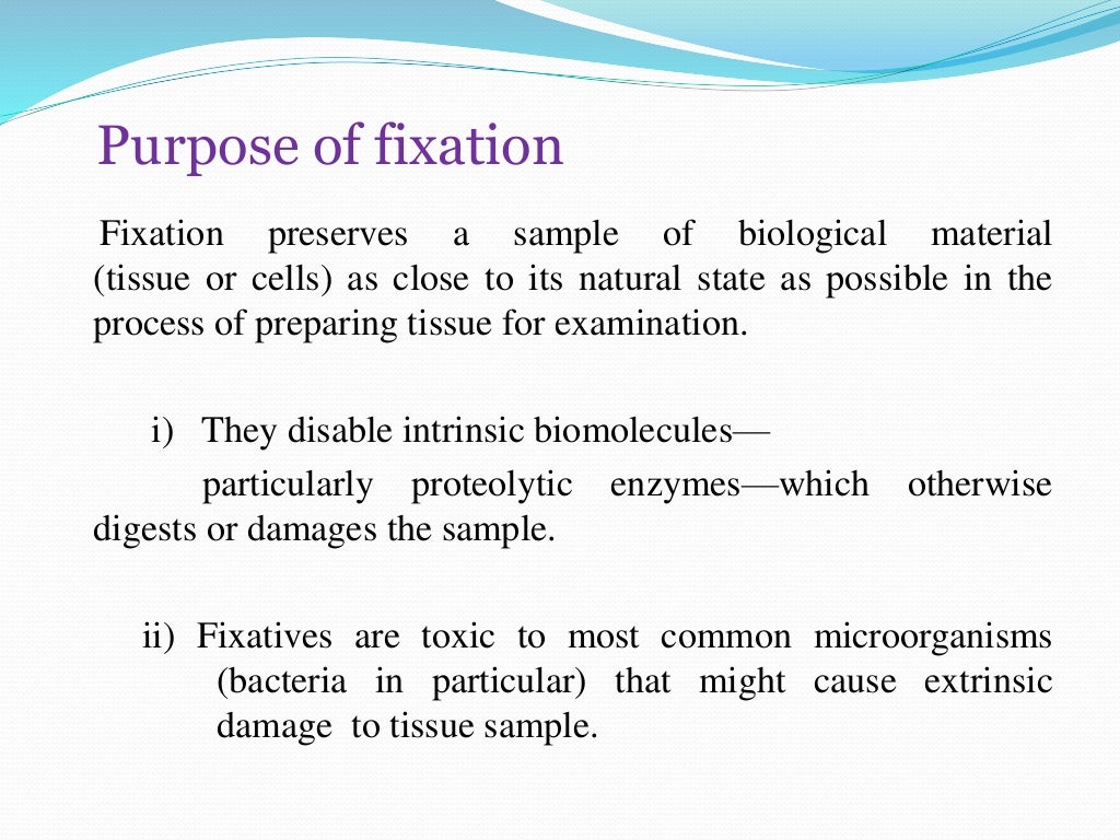 fixation and decalcification