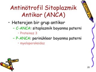 Antinötrofil Sitoplazmik
    Antikor (ANCA)
• Heterojen bir grup antikor
  – C-ANCA: sitoplazmik boyanma paterni
    • Proteinaz 3
  – P-ANCA: perinükleer boyanma paterni
    • myeloperoksidaz




                                          20
 