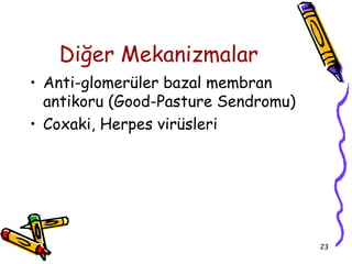 Diğer Mekanizmalar
• Anti-glomerüler bazal membran
  antikoru (Good-Pasture Sendromu)
• Coxaki, Herpes virüsleri




                                     23
 
