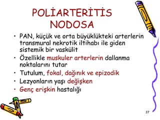 POLİARTERİTİS
         NODOSA
• PAN, küçük ve orta büyüklükteki arterlerin
  transmural nekrotik iltihabı ile giden
  sistemik bir vaskülit
• Özellikle muskuler arterlerin dallanma
  noktalarını tutar
• Tutulum, fokal, dağınık ve epizodik
• Lezyonların yaşı değişken
• Genç erişkin hastalığı


                                               37
 