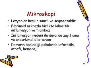 Mikroskopi
• Lezyonlar keskin sınırlı ve segmentaldir
• Fibrinoid nekrozla birlikte lökositik
  inflamasyon ve tromboz
• İnflamasyon nedeni ile duvarda zayıflama
  ve anevrizmal dilatasyon
• Damarın beslediği dokularda infarktüs,
  atrofi, hemoraji


                                             39
 