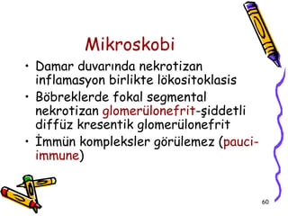 Mikroskobi
• Damar duvarında nekrotizan
  inflamasyon birlikte lökositoklasis
• Böbreklerde fokal segmental
  nekrotizan glomerülonefrit-şiddetli
  diffüz kresentik glomerülonefrit
• İmmün kompleksler görülemez (pauci-
  immune)


                                        60
 