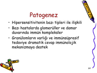 Patogenez
• Hipersensitivitenin bazı tipleri ile ilişkili
• Bazı hastalarda glomerüller ve damar
  duvarında immün kompleksler
• Granülomların varlığı ve immünsüpresif
  tedaviye dramatik cevap immünolojik
  mekanizmaya destek




                                                  64
 