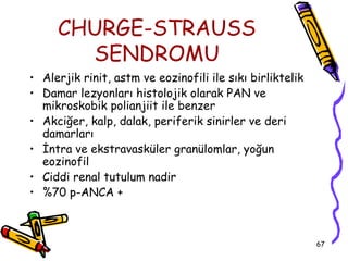 CHURGE-STRAUSS
       SENDROMU
• Alerjik rinit, astm ve eozinofili ile sıkı birliktelik
• Damar lezyonları histolojik olarak PAN ve
  mikroskobik polianjiit ile benzer
• Akciğer, kalp, dalak, periferik sinirler ve deri
  damarları
• İntra ve ekstravasküler granülomlar, yoğun
  eozinofil
• Ciddi renal tutulum nadir
• %70 p-ANCA +



                                                           67
 