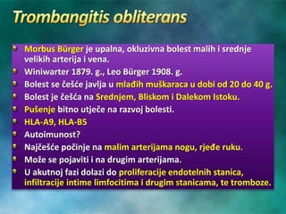 Morbus Bürger je upalna, okluzivna bolest malih i srednje
velikih arterija i vena.
Winiwarter 1879. g., Leo Bürger 1908. g.
Bolest se češće javlja u mlađih muškaraca u dobi od 20 do 40 g.
Bolest je češća na Srednjem, Bliskom i Dalekom Istoku.
Pušenje bitno utječe na razvoj bolesti.
HLA-A9, HLA-B5
Autoimunost?
Najčešće počinje na malim arterijama nogu, rjeđe ruku.
Može se pojaviti i na drugim arterijama.
U akutnoj fazi dolazi do proliferacije endotelnih stanica,
infiltracije intime limfocitima i drugim stanicama, te tromboze.
 