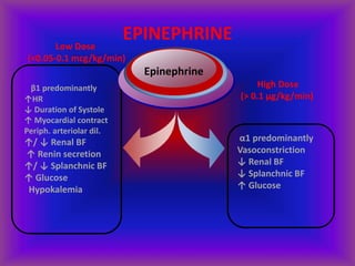 EPINEPHRINE
α1 predominantly
Vasoconstriction
↓ Renal BF
↓ Splanchnic BF
↑ Glucose
β1 predominantly
↑HR
↓ Duration of Systole
↑ Myocardial contract
Periph. arteriolar dil.
↑/ ↓ Renal BF
↑ Renin secretion
↑/ ↓ Splanchnic BF
↑ Glucose
Hypokalemia
Epinephrine
Low Dose
(<0.05-0.1 mcg/kg/min)
High Dose
(> 0.1 μg/kg/min)
 