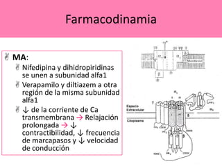 Farmacodinamia
 MA:
 Nifedipina y dihidropiridinas
se unen a subunidad alfa1
 Verapamilo y diltiazem a otra
región de la misma subunidad
alfa1
 ↓ de la corriente de Ca
transmembrana → Relajación
prolongada → ↓
contractibilidad, ↓ frecuencia
de marcapasos y ↓ velocidad
de conducción

 