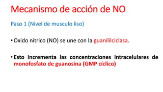 Mecanismo de acción de NO
Paso 1 (Nivel de musculo liso)
•Oxido nítrico (NO) se une con la guanililciclasa.
•Esto incrementa las concentraciones intracelulares de
monofosfato de guanosina (GMP cíclico)
 
