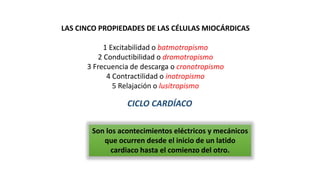 LAS CINCO PROPIEDADES DE LAS CÉLULAS MIOCÁRDICAS
1 Excitabilidad o batmotropismo
2 Conductibilidad o dromotropismo
3 Frecuencia de descarga o cronotropismo
4 Contractilidad o inotropismo
5 Relajación o lusitropismo
CICLO CARDÍACO
Son los acontecimientos eléctricos y mecánicos
que ocurren desde el inicio de un latido
cardiaco hasta el comienzo del otro.
 