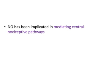 • NO has been implicated in mediating central 
nociceptive pathways 
 