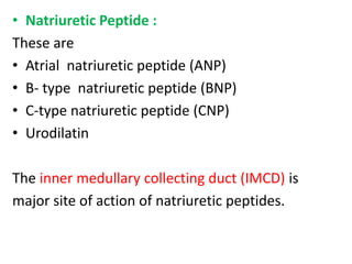 • Natriuretic Peptide : 
These are 
• Atrial natriuretic peptide (ANP) 
• B- type natriuretic peptide (BNP) 
• C-type natriuretic peptide (CNP) 
• Urodilatin 
The inner medullary collecting duct (IMCD) is 
major site of action of natriuretic peptides. 
 