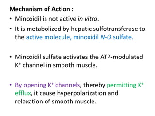 Mechanism of Action : 
• Minoxidil is not active in vitro. 
• It is metabolized by hepatic sulfotransferase to 
the active molecule, minoxidil N-O sulfate. 
• Minoxidil sulfate activates the ATP-modulated 
K+ channel in smooth muscle. 
• By opening K+ channels, thereby permitting K+ 
efflux, it cause hyperpolarization and 
relaxation of smooth muscle. 
 