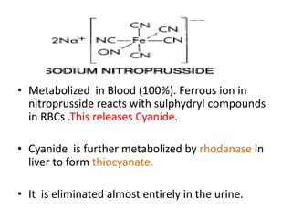 • Metabolized in Blood (100%). Ferrous ion in 
nitroprusside reacts with sulphydryl compounds 
in RBCs .This releases Cyanide. 
• Cyanide is further metabolized by rhodanase in 
liver to form thiocyanate. 
• It is eliminated almost entirely in the urine. 
 