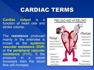 Cardiac output is a
function of heart rate and
stroke volume.
The resistance produced
mainly in the arterioles is
known as the systemic
vascular resistance (SVR)
or the peripheral vascular
resistance (PVR). If the
pressure in a vessel
increases then the blood
flow will increase.
 