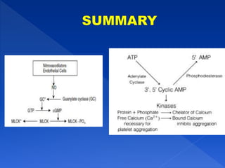 Vasodilators - Medicinal chemistry for B.Pharm.