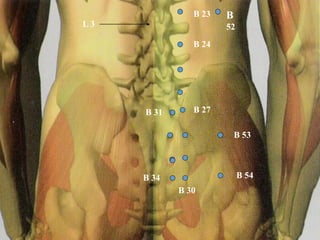 L 3
B 24
B 31 B 27
B 30
B 34
B 23
B 54
B 53
B
52
 