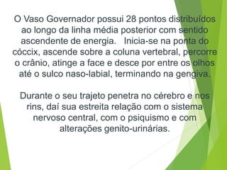 O Vaso Governador possui 28 pontos distribuídos
ao longo da linha média posterior com sentido
ascendente de energia. Inicia-se na ponta do
cóccix, ascende sobre a coluna vertebral, percorre
o crânio, atinge a face e desce por entre os olhos
até o sulco naso-labial, terminando na gengiva.
Durante o seu trajeto penetra no cérebro e nos
rins, daí sua estreita relação com o sistema
nervoso central, com o psiquismo e com
alterações genito-urinárias.
 