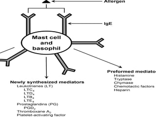 VASOMOTOR AND ALLERGIC RHINITS presentation | PPTX