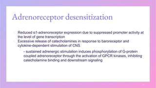 Adrenoreceptor desensitization
1. Reduced α1-adrenoreceptor expression due to suppressed promoter activity at
the level of gene transcription
2. Excessive release of catecholamines in response to baroreceptor and
cytokine-dependent stimulation of CNS
- sustained adrenergic stimulation induces phosphorylation of G-protein
coupled adrenoreceptor through the activation of GPCR kinases, inhibiting
catecholamine binding and downstream signaling
11
 