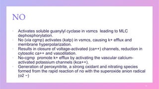 NO
▪ Activates soluble guanylyl cyclase in vsmcs leading to MLC
dephosphorylation.
▪ No (via cgmp) activates (katp) in vsmcs, causing k+ efflux and
membrane hyperpolarization.
▪ Results in closure of voltage-activated (ca++) channels, reduction in
cytosolic ca++ and vasodilation.
▪ No-cgmp promote k+ efflux by activating the vascular calcium-
activated potassium channels (kca++).
▪ Generation of peroxynitrite, a strong oxidant and nitrating species
formed from the rapid reaction of no with the superoxide anion radical
(o2 −)
13
 