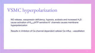 VSMC hyperpolarization
▪ NO release, vasopressin deficiency, hypoxia, acidosis and increased H2S
cause activation of KATP(ATP sensitive K+ channels causes membrane
hyperpolarization
▪ Results in inhibition of Ca channel dependent cellular Ca influx - vasodilation
15
 