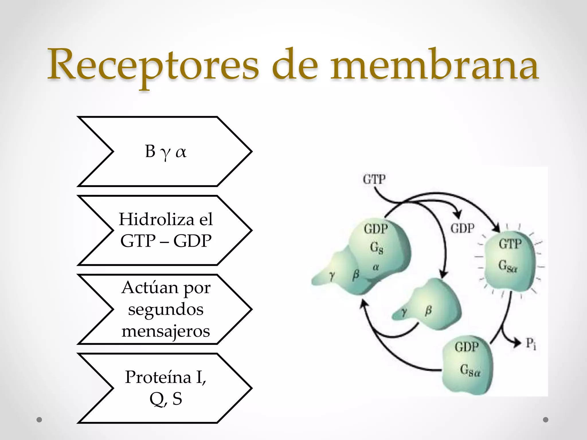 Agentes Inotropicos Vasopresores e inotropicos. farmacología clínica | PPTX