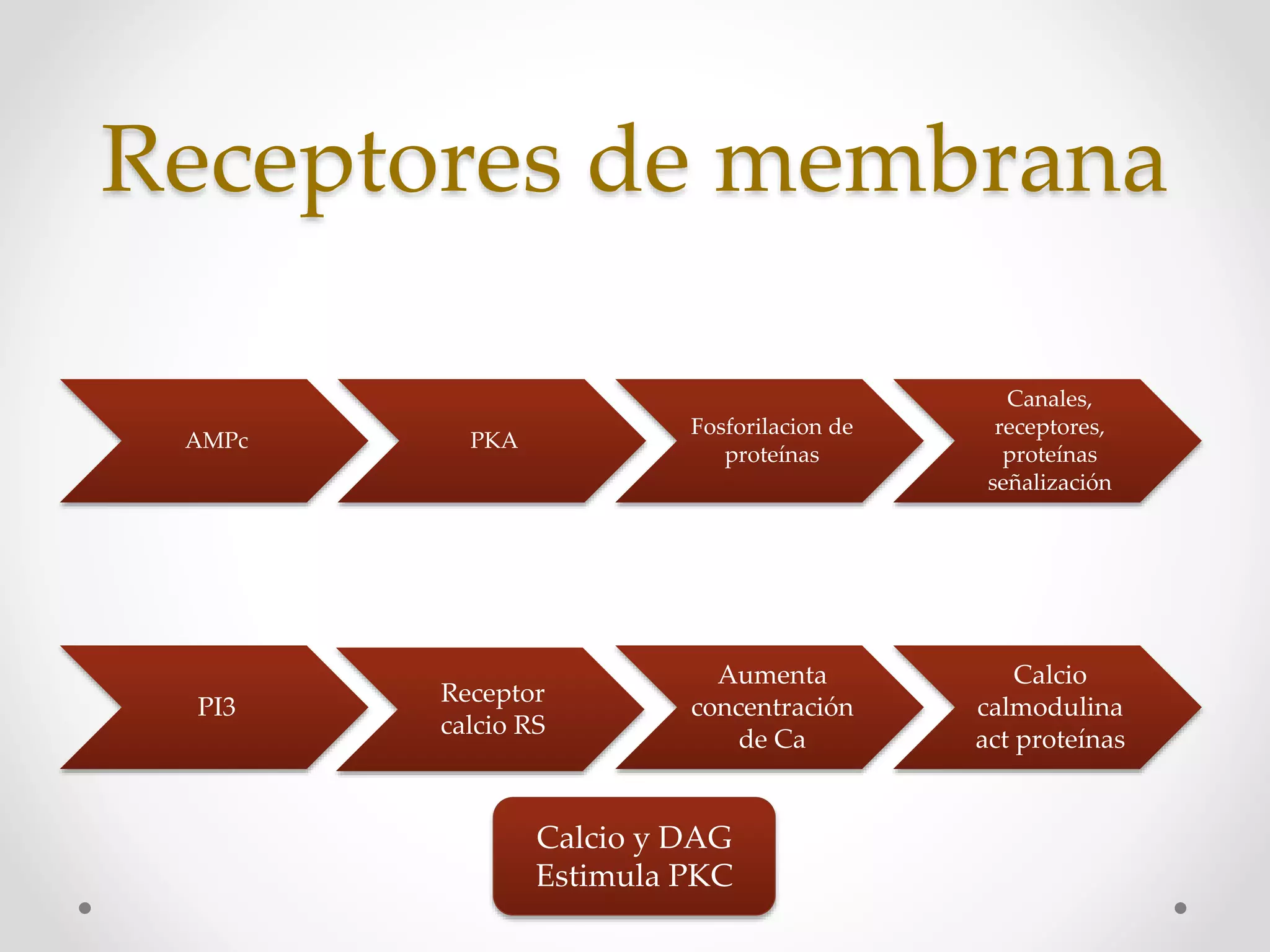 Agentes Inotropicos Vasopresores e inotropicos. farmacología clínica | PPTX