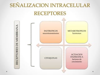 Agentes Inotropicos Vasopresores e inotropicos. farmacología clínica | PPTX
