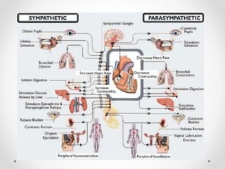 Agentes Inotropicos Vasopresores e inotropicos. farmacología clínica | PPTX