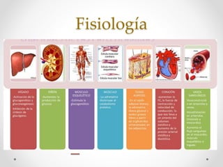 Agentes Inotropicos Vasopresores e inotropicos. farmacología clínica | PPTX