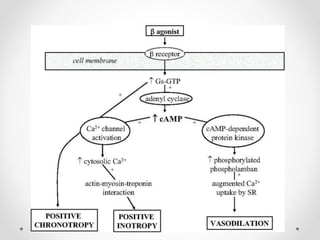 Agentes Inotropicos Vasopresores e inotropicos. farmacología clínica | PPTX