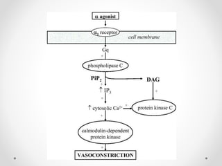 Agentes Inotropicos Vasopresores e inotropicos. farmacología clínica | PPTX