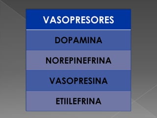 VASOPRESORES

  DOPAMINA

NOREPINEFRINA

 VASOPRESINA

  ETIILEFRINA
 