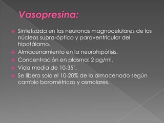    Sintetizada en las neuronas magnocelulares de los
    núcleos supra-óptico y paraventricular del
    hipotálamo.
   Almacenamiento en la neurohipófisis.
   Concentración en plasma: 2 pg/ml.
   Vida media de 10-35’.
   Se libera solo el 10-20% de lo almacenado según
    cambio barométricos y osmolares.
 