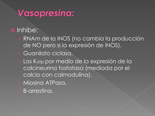    Inhibe:
    › RNAm de la iNOS (no cambia la producción
        de NO pero si la expresión de iNOS).
    ›   Guanilato ciclasa.
    ›   Los Katp por medio de la expresión de la
        calcineurina fosfatasa (mediada por el
        calcio con calmodulina).
    ›   Miosina ATPasa.
    ›   B-arrestina.
 
