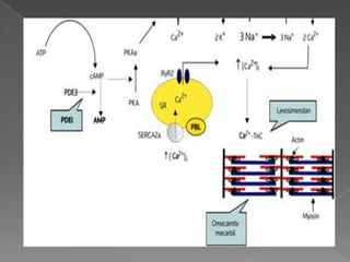 Vasopresores e Inotrópicos
