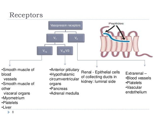 release controlled j agonista and Vasopressin antagonist release controlled j agonista and Vasopressin antagonist