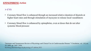 CVS
• Coronary blood flow is enhanced through an increased relative duration of diastole at
higher heart rates and through stimulation of myocytes to release local vasodilators
• Coronary blood flow is enhanced by epinephrine, even at doses that do not alter
systemic blood pressure
EPINEPHRINE-Action
“Inotropes and Vasopressors Review of Physiology and Clinical Use in Cardiovascular Disease.” Circulation, vol. 118, no.
10, 2008, pp. 1047–1056.
Stoelting pharmacology & physiology 6th edition,2021
 