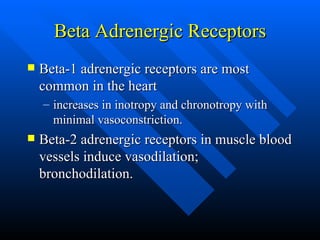 Beta Adrenergic Receptors Beta-1 adrenergic receptors are most common in the heart increases in inotropy and chronotropy with minimal vasoconstriction. Beta-2 adrenergic receptors in muscle blood vessels induce vasodilation; bronchodilation. 
